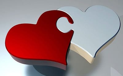 THE ONE THING A MARRIAGE THERAPIST WILL NOT DO