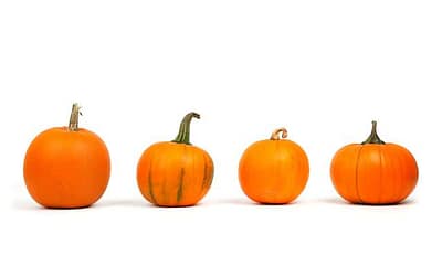 This year we are celebrating Friendsgiving