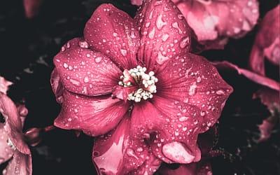 Getting through Mother’s Day without a mom