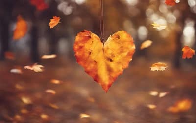 Fall Back in Love This Fall: Cozy Date Ideas to Reconnect this Autumn